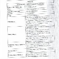 Мукушкина Анжела Каиргельдиевна